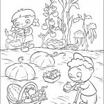 חבורת איינשטיין בקטיף