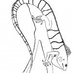 זיקית זוחלת על ענף עץ זיקית זוחלת על ענף עץ