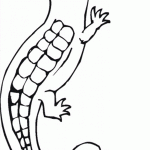 דף צביעה לטאה 2 דף צביעה לטאה 2