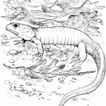 דף צביעה לטאה מסתתרת בין העלים דף צביעה לטאה מסתתרת בין העלים