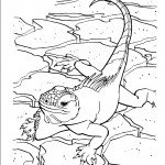 זיקית זוחלת על האדמה זיקית זוחלת על האדמה