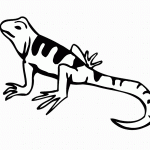 דף צביעה לטאה 1 דף צביעה לטאה 1