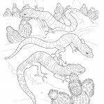 דף צביעה לטאות זוחלות במדבר דף צביעה לטאות זוחלות במדבר