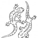 דף צביעה זוג לטאות 1 דף צביעה זוג לטאות 1