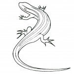 דף צביעה לטאה זוחלת דף צביעה לטאה זוחלת