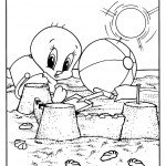 טוויטי בונה ארמונות בחול