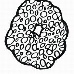 דף צביעה מספר 0 בעיטור עיגולים