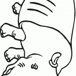 דף צביעה קרנף 1 דף צביעה קרנף 1