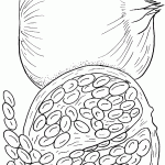 מסמלי ראש השנה - רימון