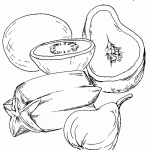 ברכת שהחינו על הפירות