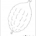 דף צביעה לסוכות 17