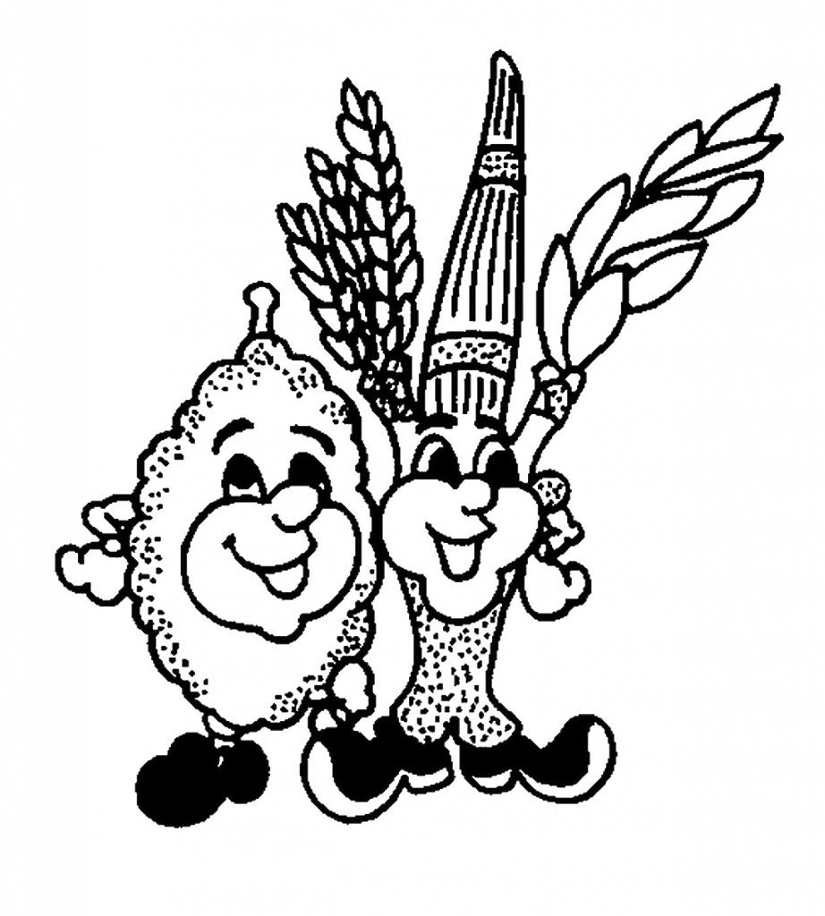 דף צביעה לסוכות 16