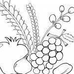 דף צביעה לסוכות 12