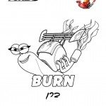 דף צביעה ברן חילזון ממין נקבה דף צביעה ברן חילזון ממין נקבה