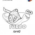 דף צביעה החילזון טורבו מצליח לנצח במירוץ דף צביעה החילזון טורבו מצליח לנצח במירוץ