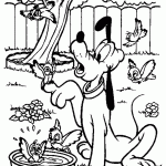 דף צביעה פלוטו עם הציפורים בחצר