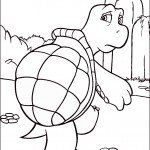 דף צביעה וורן הצב דף צביעה וורן הצב