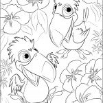 דף צביעה שני גוזלי המקאו