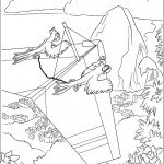 מה מגלים התוכים על כנפי המטוס?