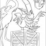 דף צביעה התוכים משתעשעים עם קיפו הציפור הוורודה