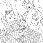 דף צביעה התוכי משתחרר מהכלוב