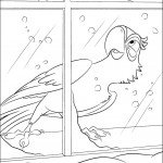 דף צביעה ג'ול נקבת המקאו