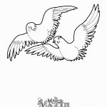 דף צביעה היונים קרלו וקרלה דף צביעה היונים קרלו וקרלה