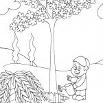 tu_bishvat_coloring14