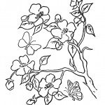 tu_bishvat_coloring18 copy