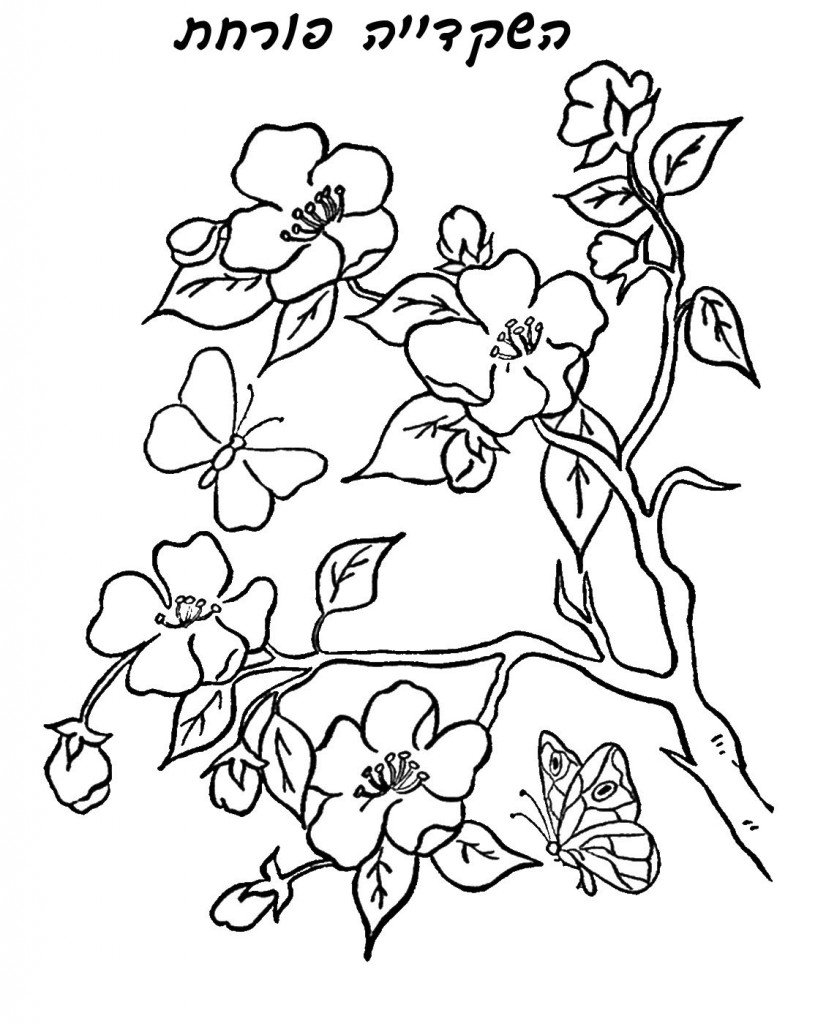 tu_bishvat_coloring18 copy
