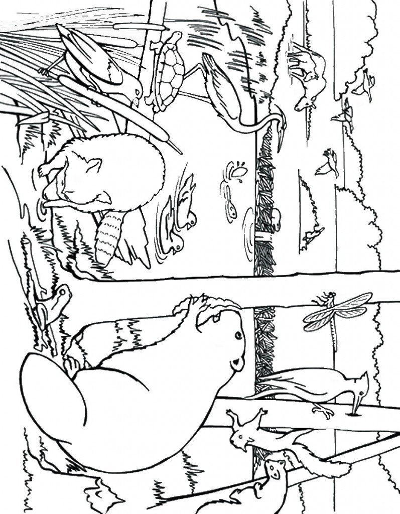 beaver_coloring_1