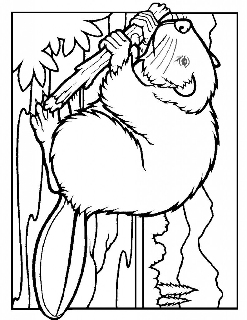 beaver_coloring_11