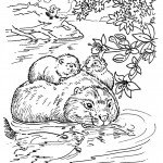 beaver_coloring_13