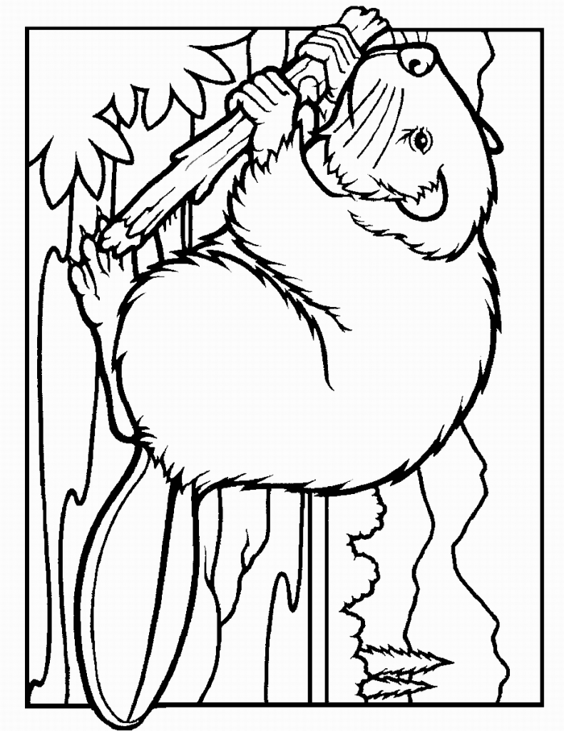 beaver_coloring_4