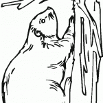 beaver_coloring_5