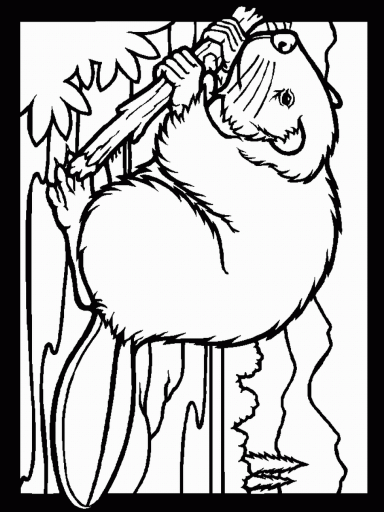 beaver_coloring_6