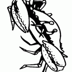 crab-coloring-7
