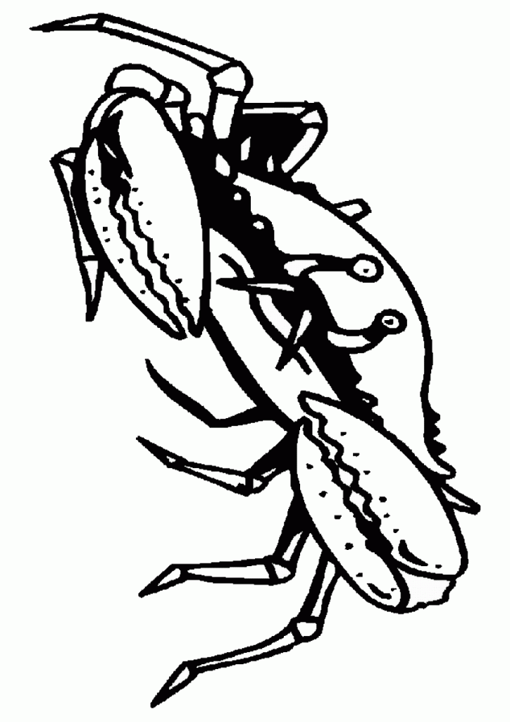 crab-coloring-7