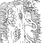 swan-coloring-1
