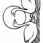 swan-coloring-13