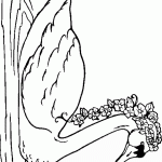 swan-coloring-14