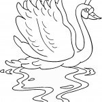 swan-coloring-7