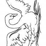 swan-coloring-9
