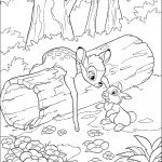 bambi_cl_14 bambi_cl_14