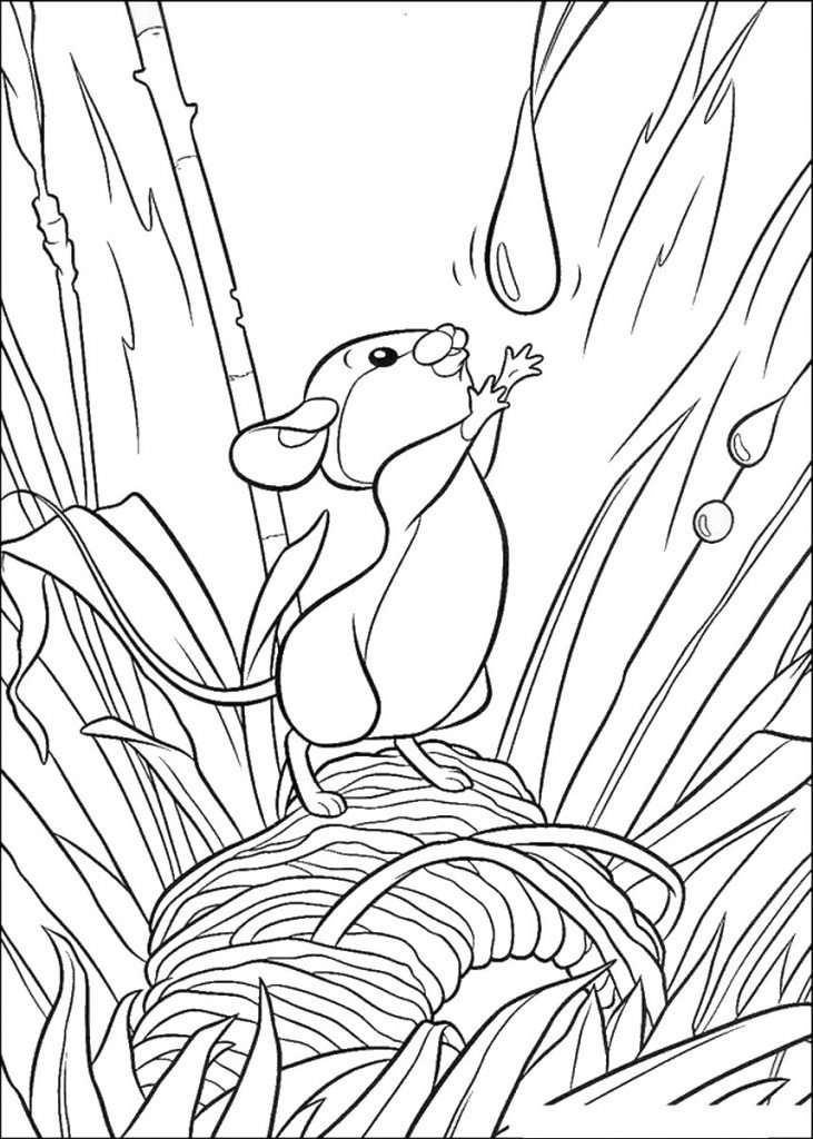 bambi_cl_15