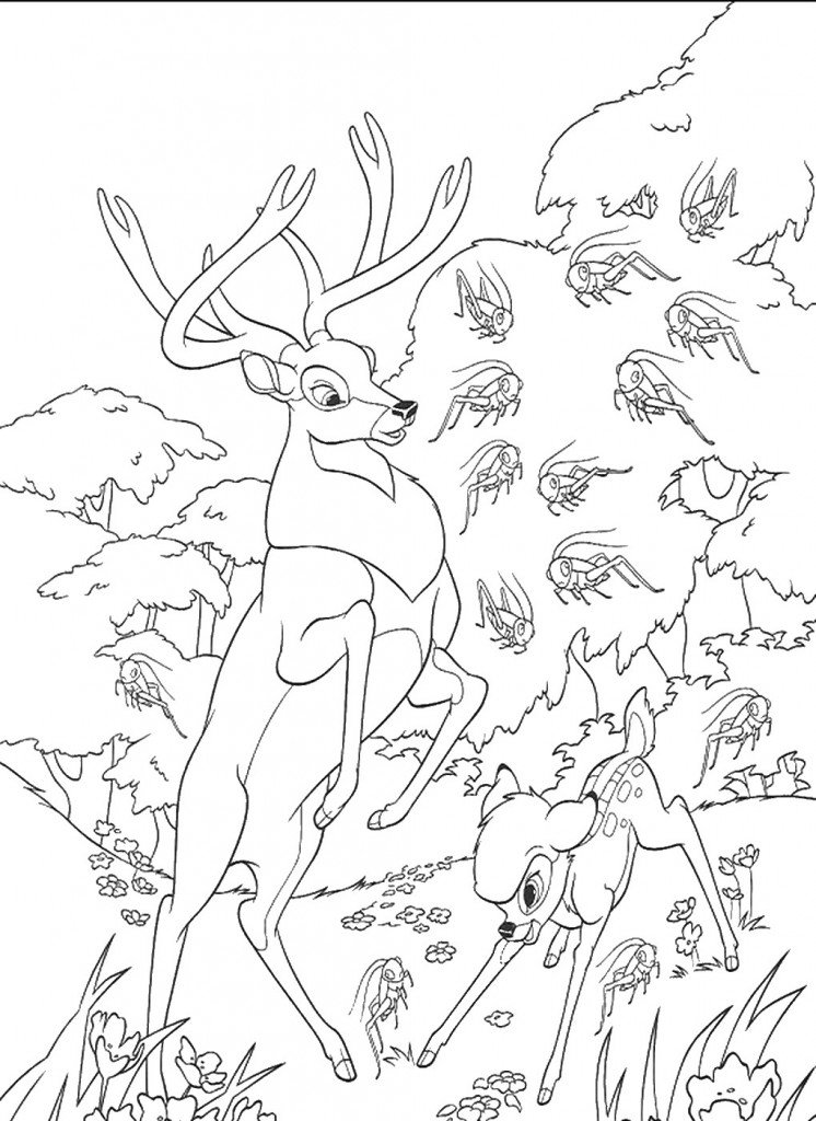 bambi_cl_20
