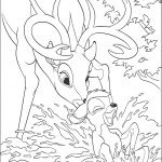 bambi_cl_21 bambi_cl_21