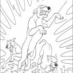 bambi_cl_25 bambi_cl_25