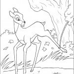 bambi_cl_30 bambi_cl_30