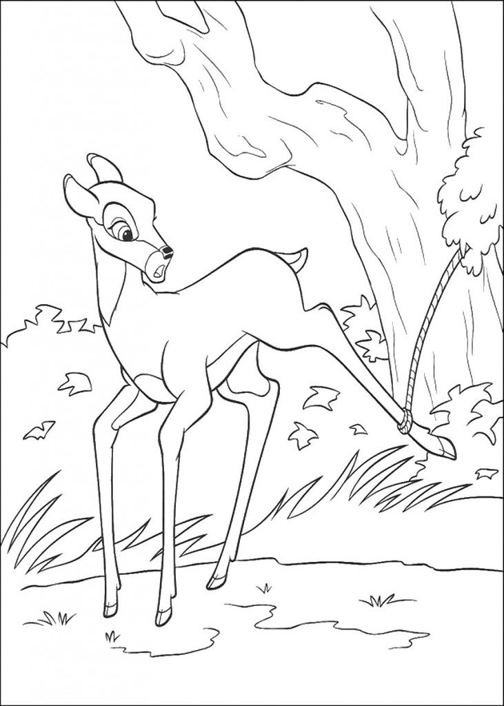 bambi_cl_30
